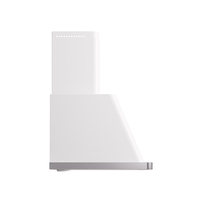 UAM100WH