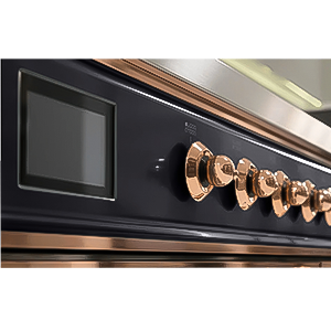Brand: ILVE 12 majestic highlights 2 1