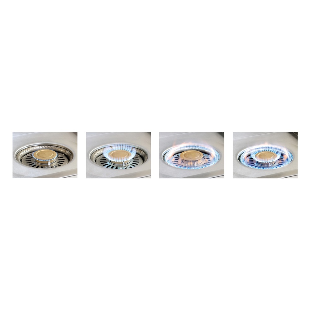 AXEVPNGSM9003-Flame Options