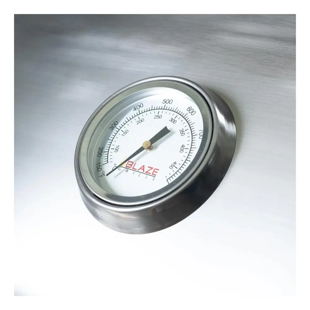 BLZELEC21-Thermometer