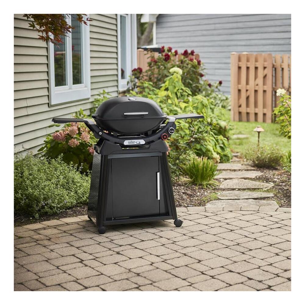 Weber-1500390-install