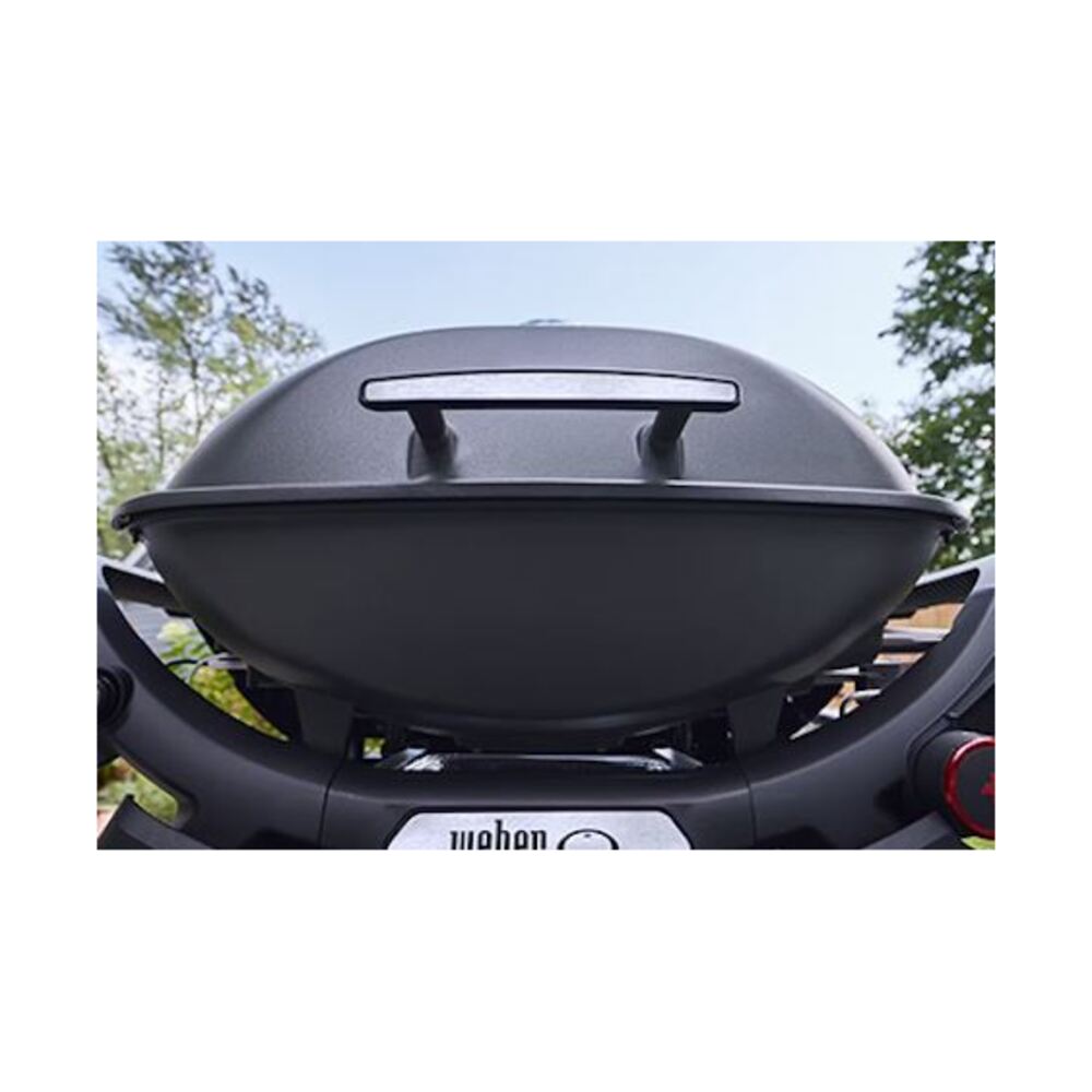 Weber-1500390-close up