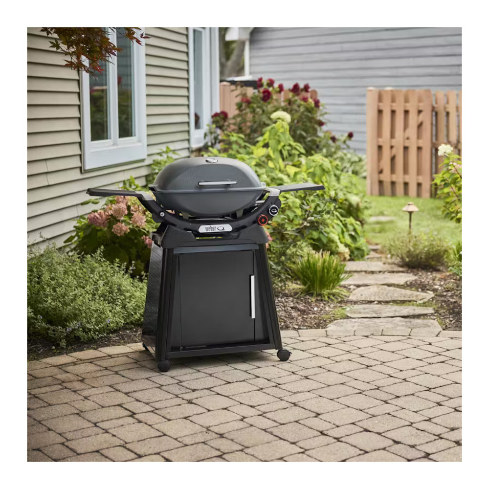 Weber-1500393-install view
