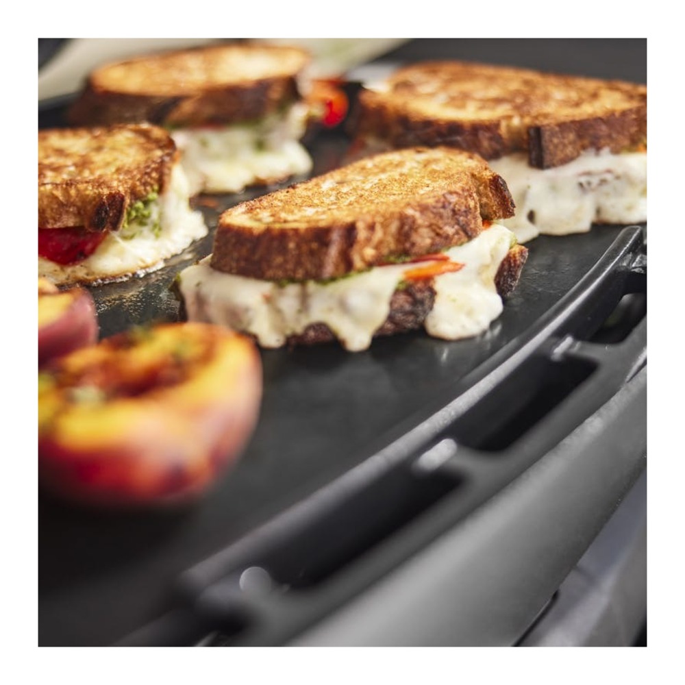 Weber-1500393-grill
