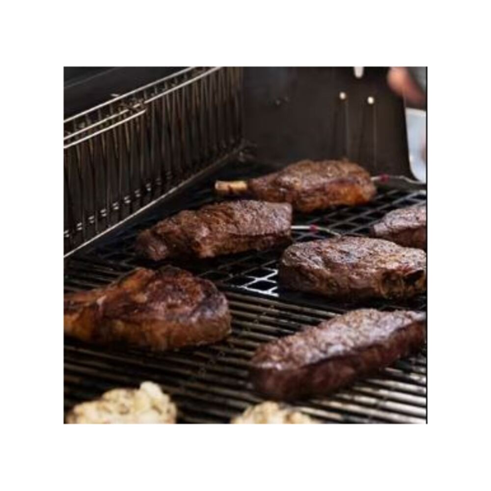 Weber-1500535-grill view