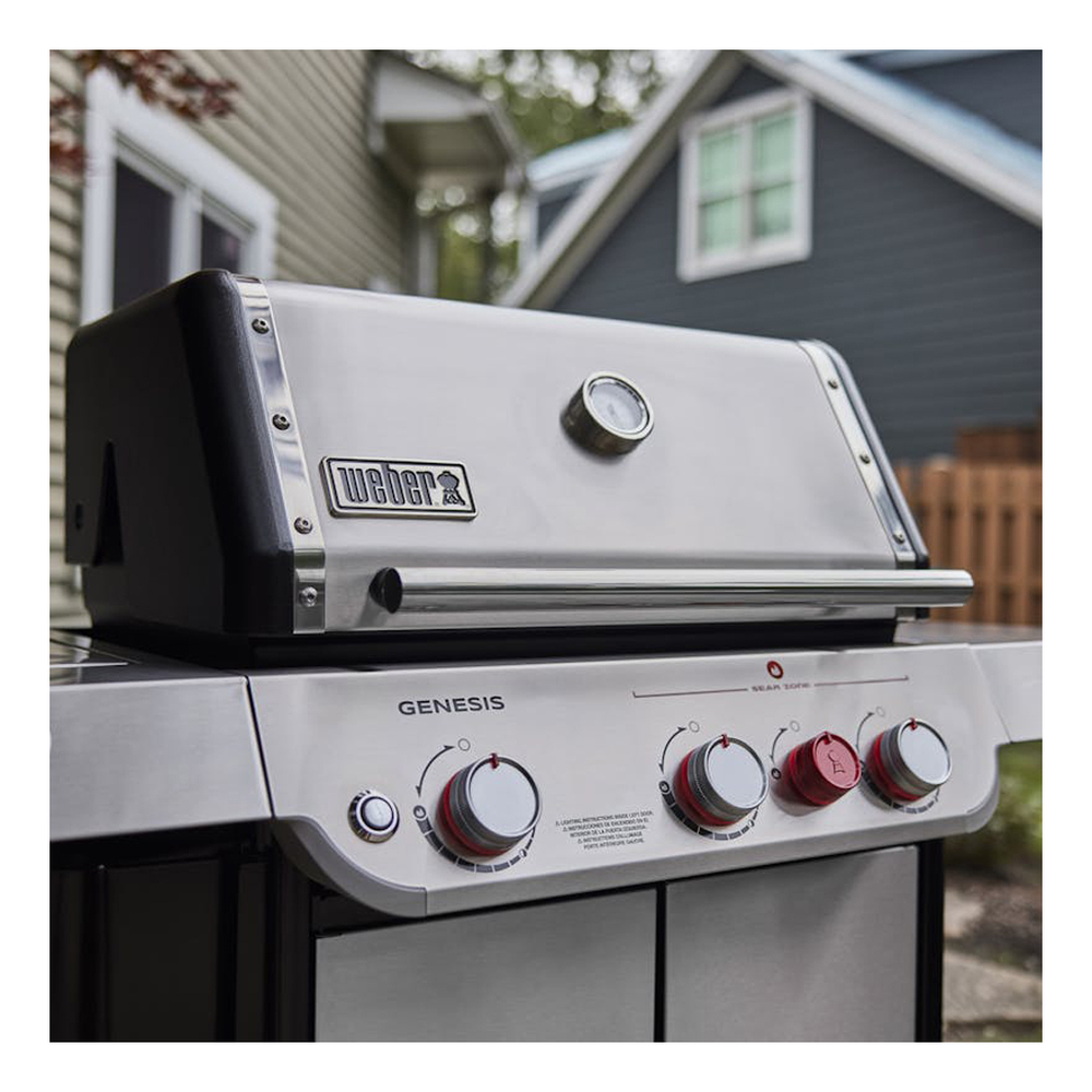Weber-1500537-controls