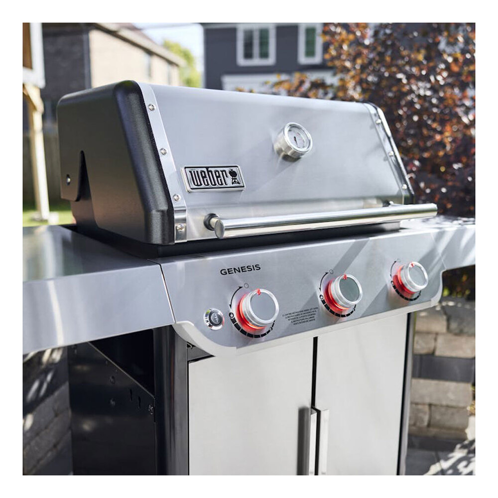 Weber-1500568-controls