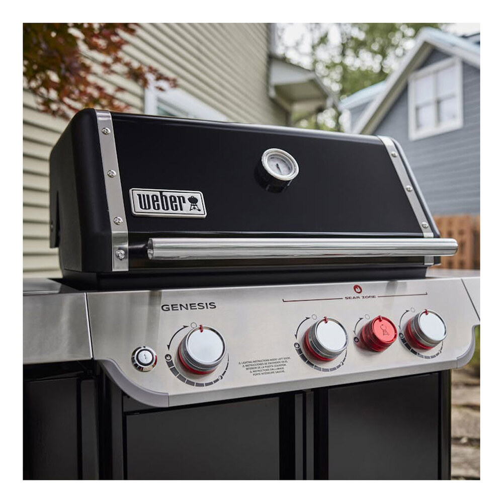 Weber-1500577-controls