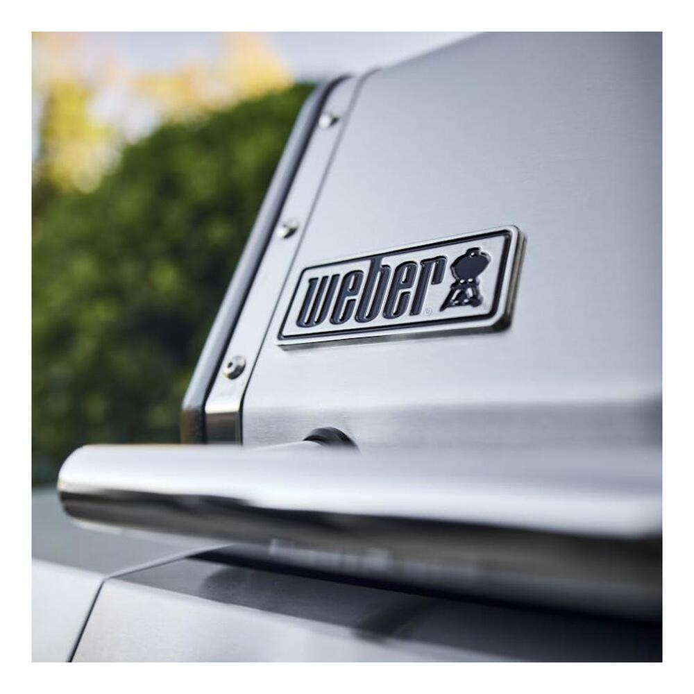 Weber-1500580-logo weber