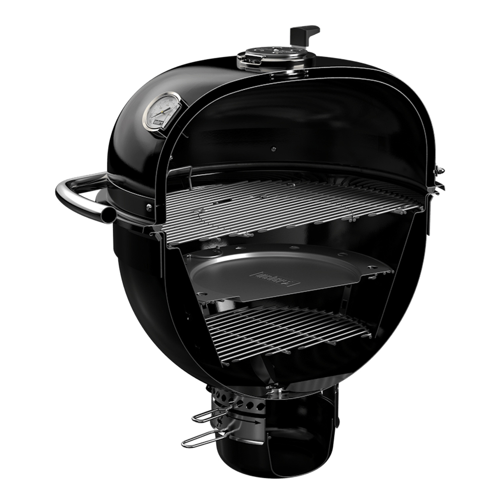 Weber-18201001-back view