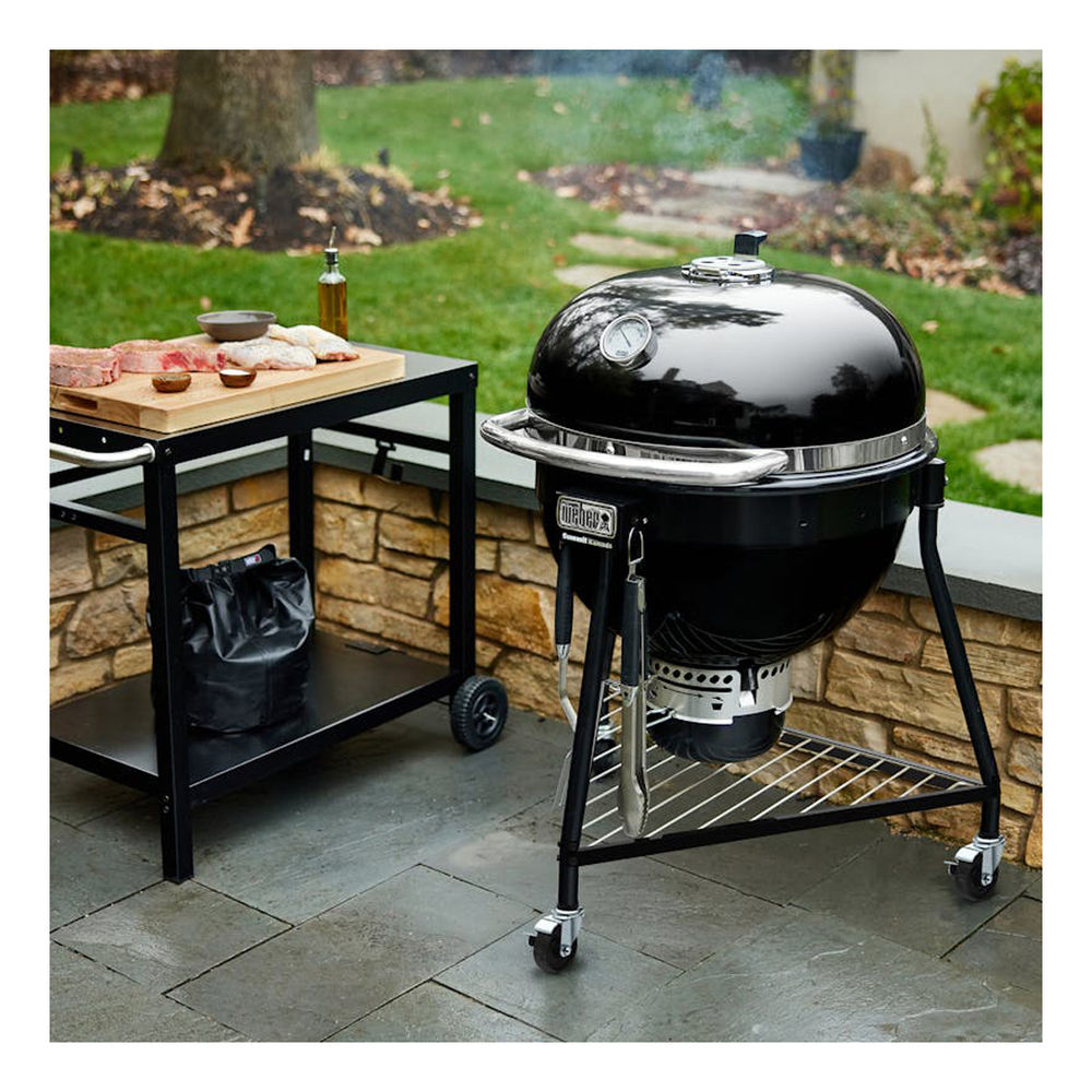 Weber-18201001-in use view