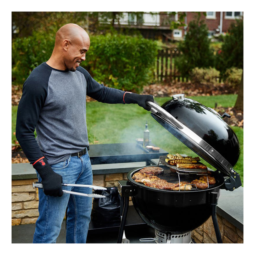 Weber-18201001-in use view