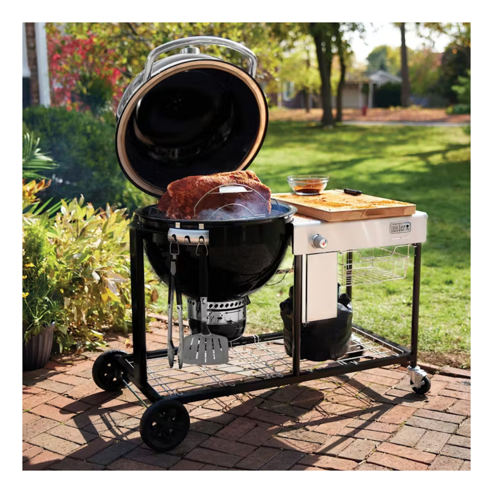 Weber-18501101-in use view