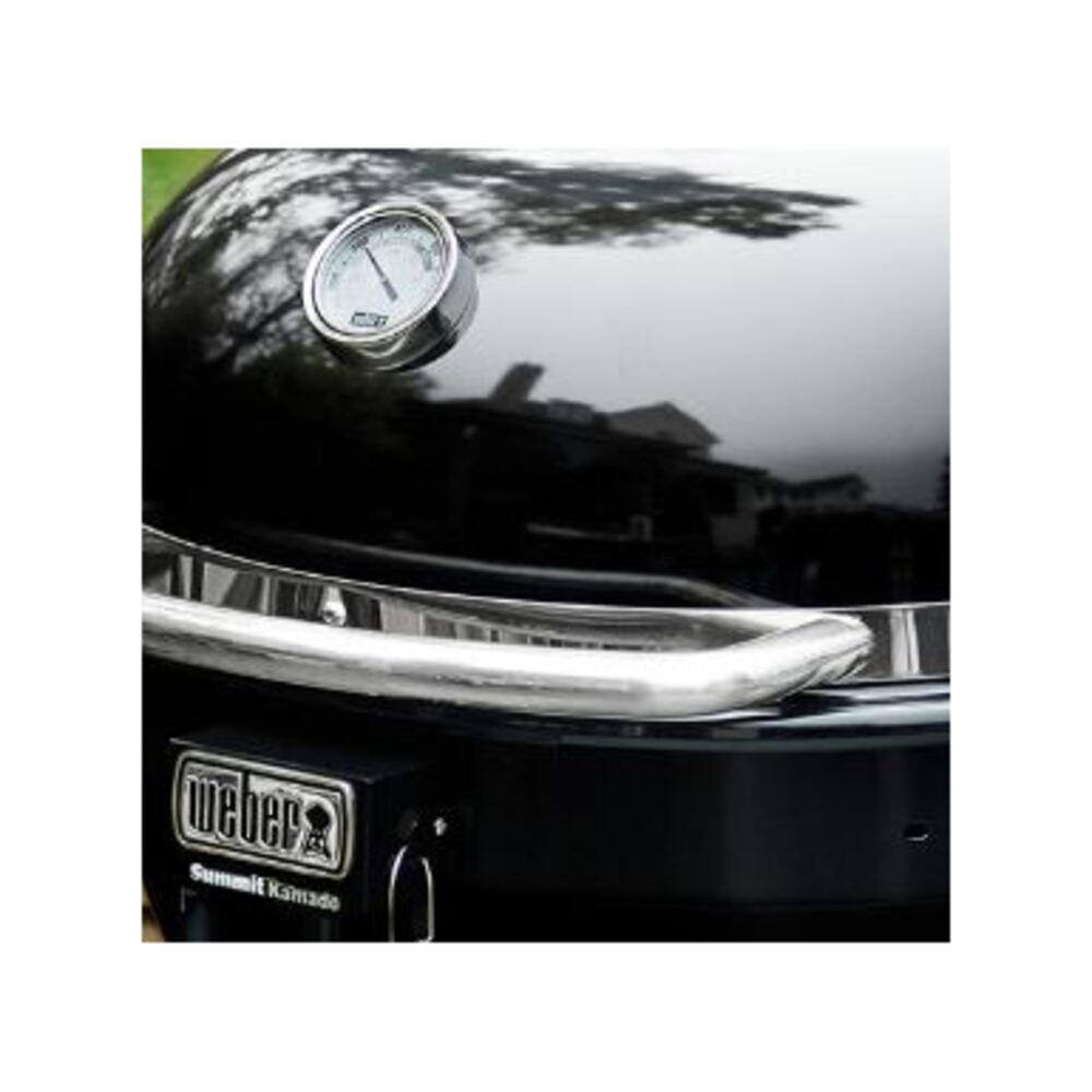Weber-18501101-handle view