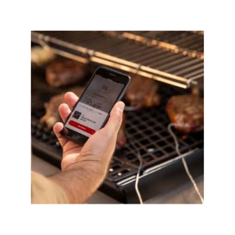 Weber-37600001-smart grill