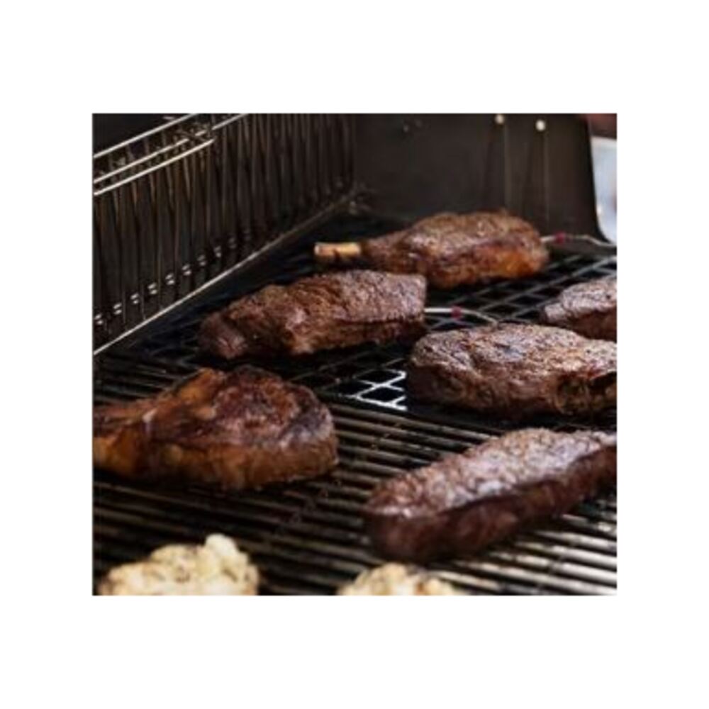 Weber-37600001-grill