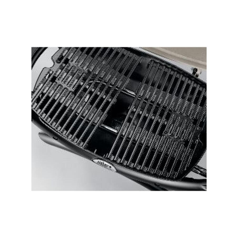Weber-51010001-iron cast
