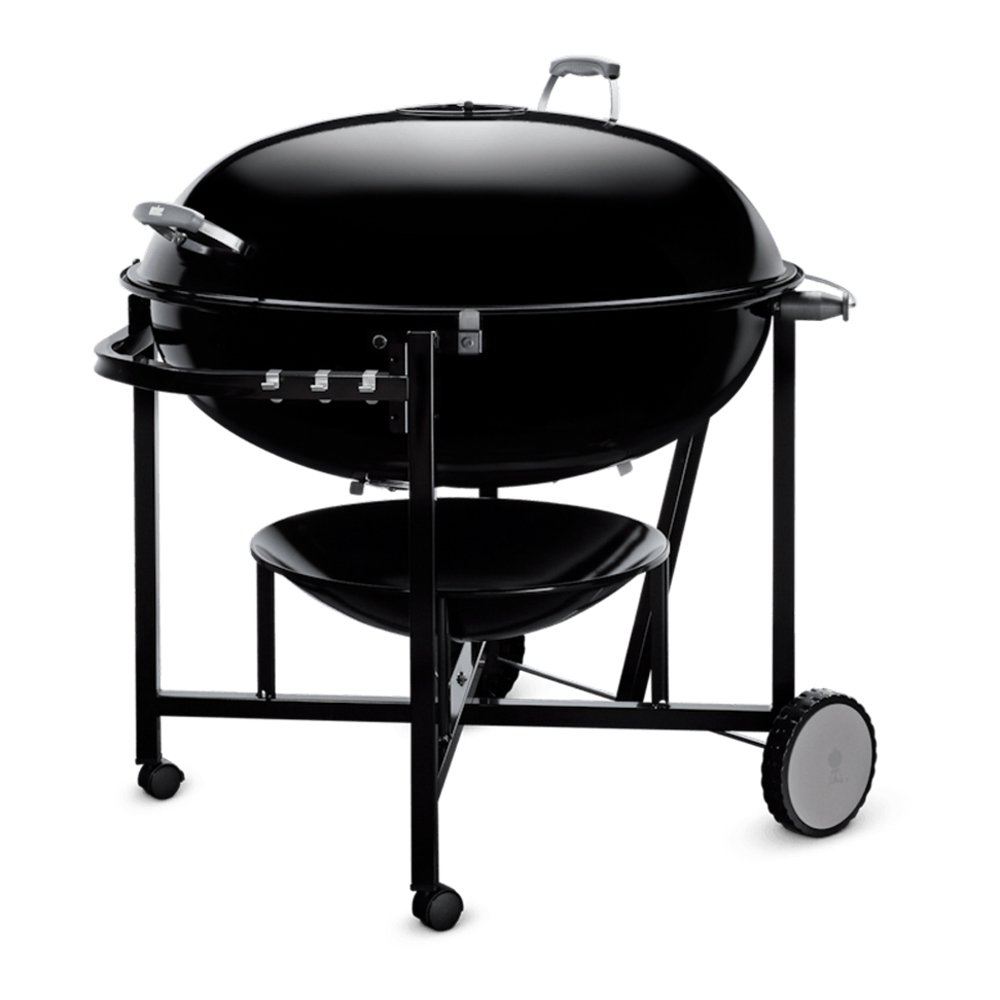 Weber-60020-right angle view
