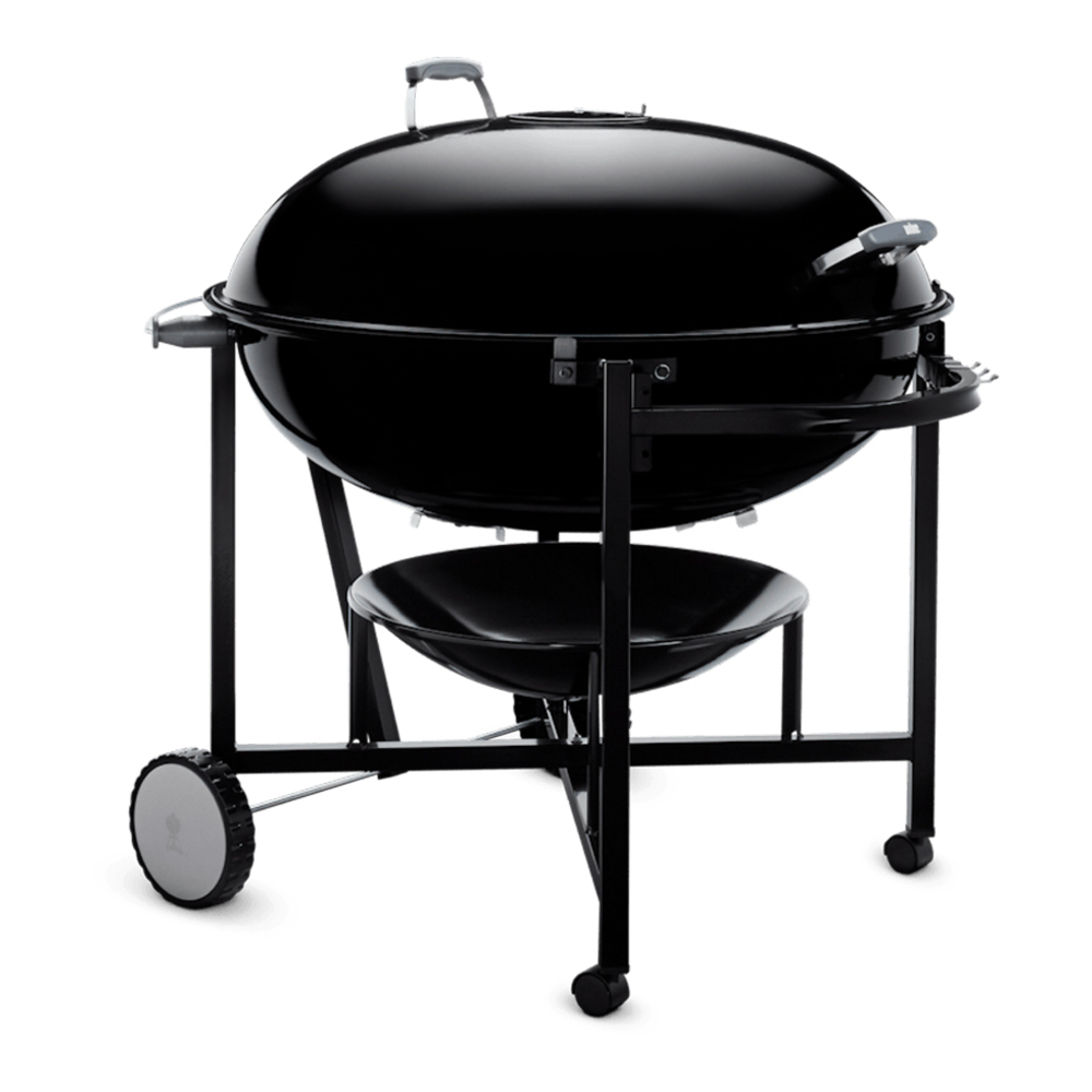Weber-60020-left angle view