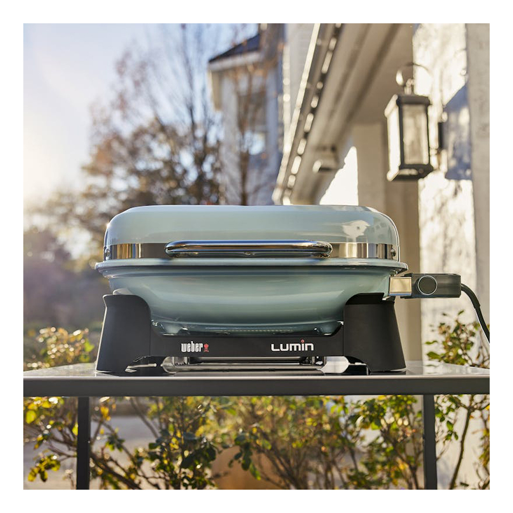 Weber-92400901-install view