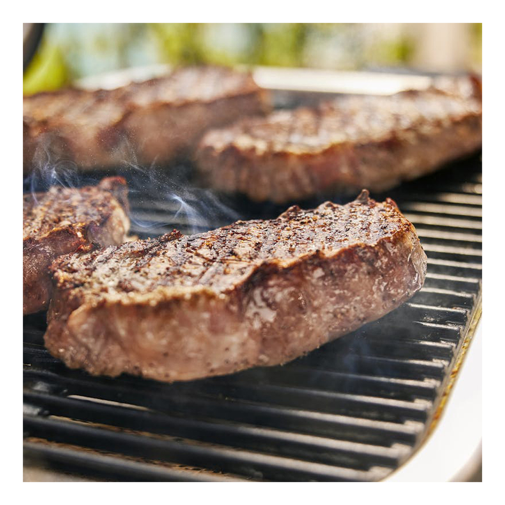 Weber-92400901-grill