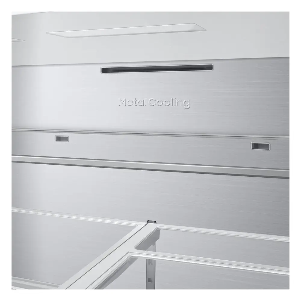 RF90F29AECR-Metal-Coolng