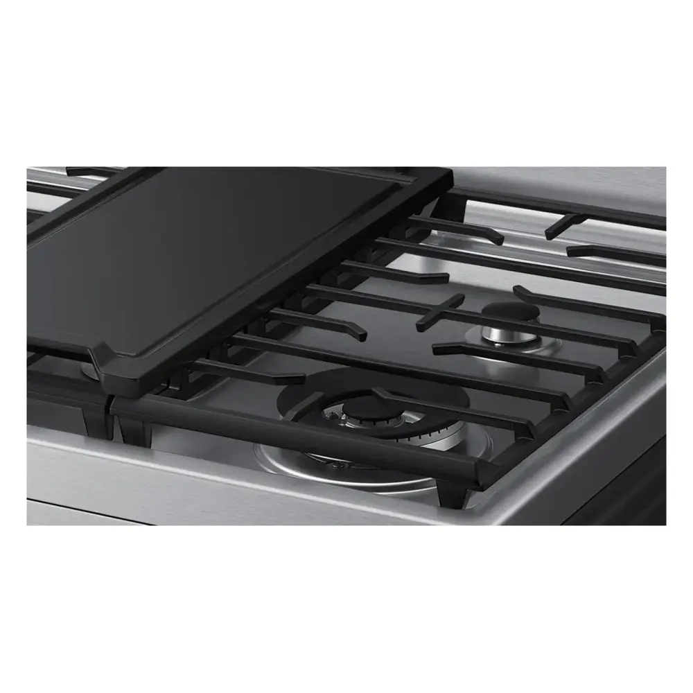 NX60A6751SS-Burner