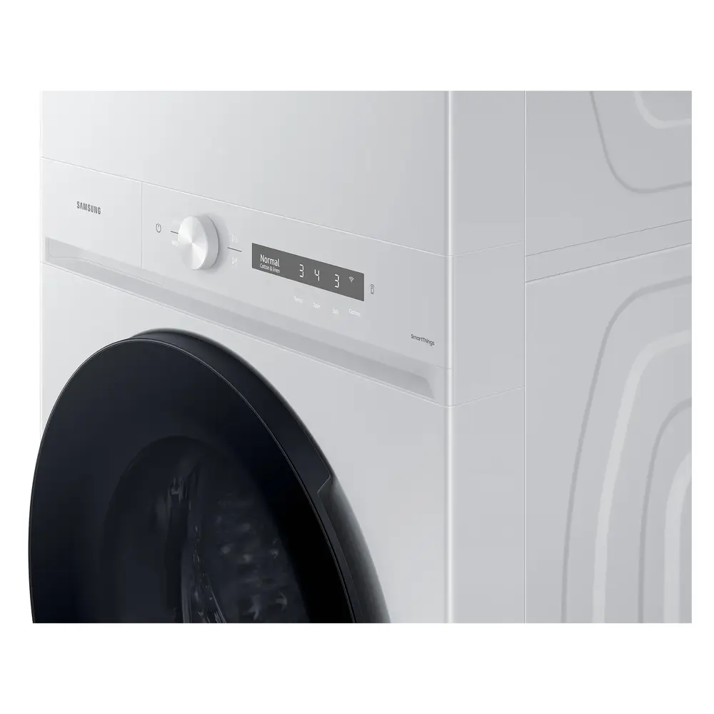 WH46DBH100GW-Controls