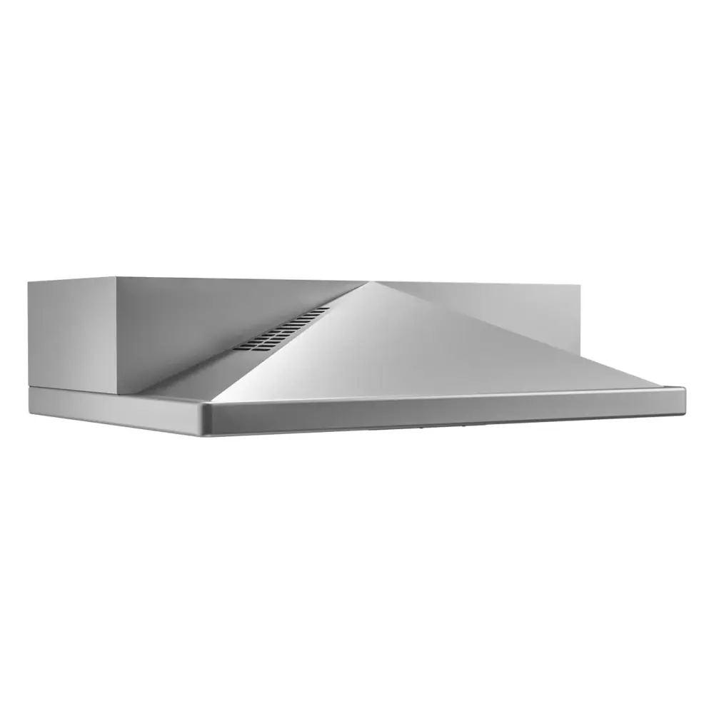ZPYE30BS290-Angled